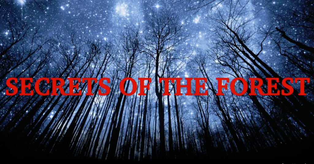 Secrets of the Forest - Trailer - Secrets of The Forest
